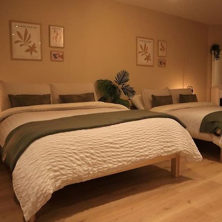Modern Studio Apartment In Cashel Cashel  Exteriér fotografie