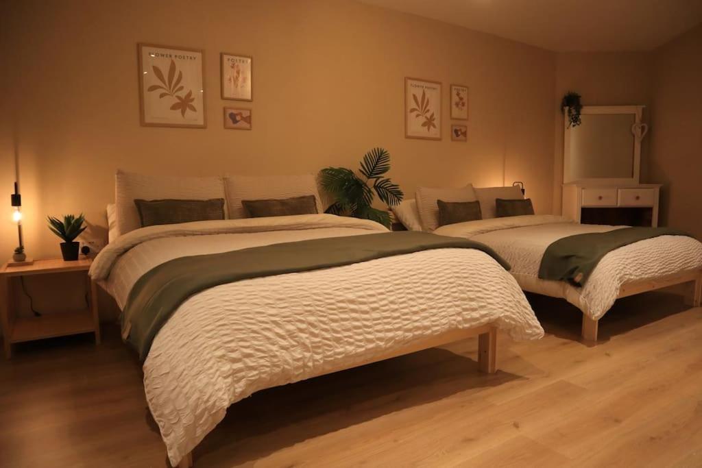 Modern Studio Apartment In Cashel Cashel  Exteriér fotografie